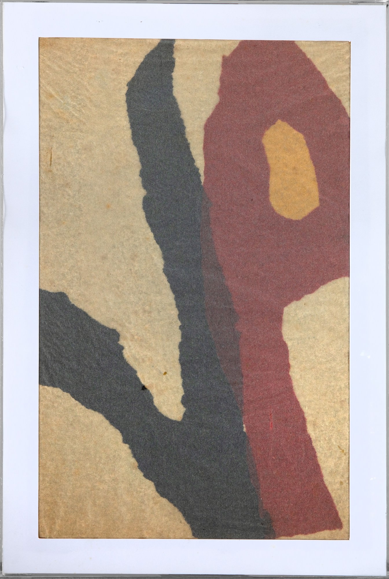 Amelia Toledo - Colagens