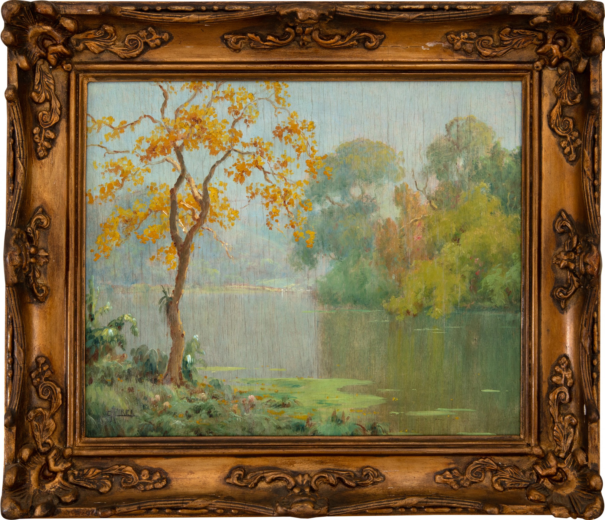 Campos Ayres - Paisagem
