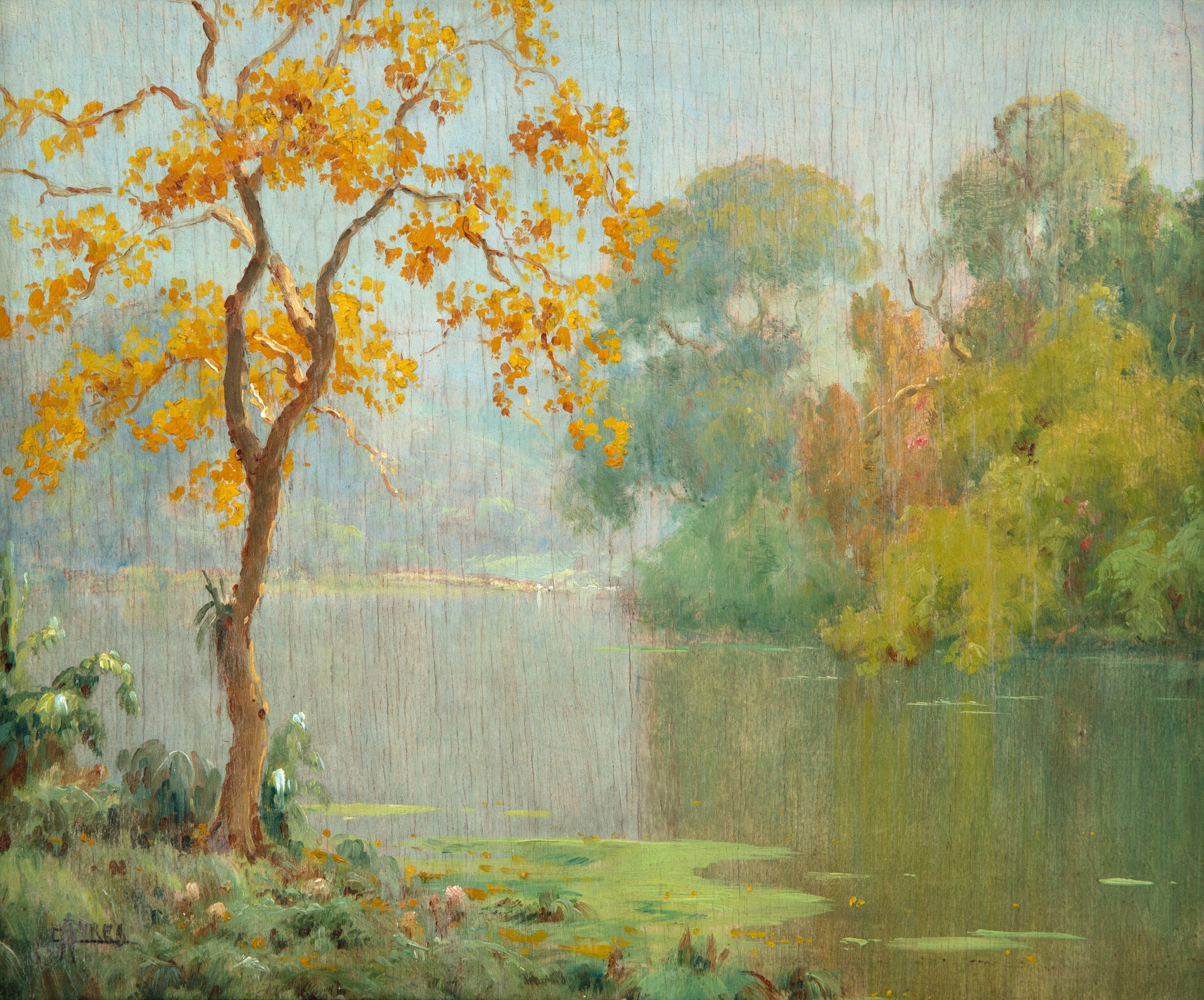Campos Ayres - Paisagem