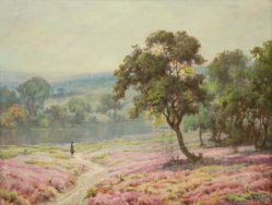 Campos Ayres - Paisagem