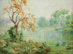 Campos Ayres - Paisagem