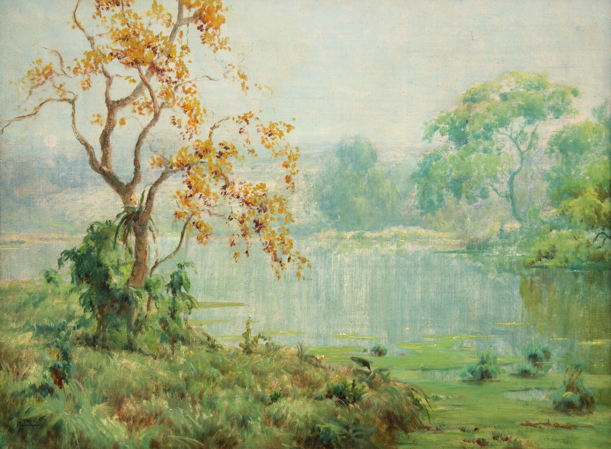 Campos Ayres - Paisagem