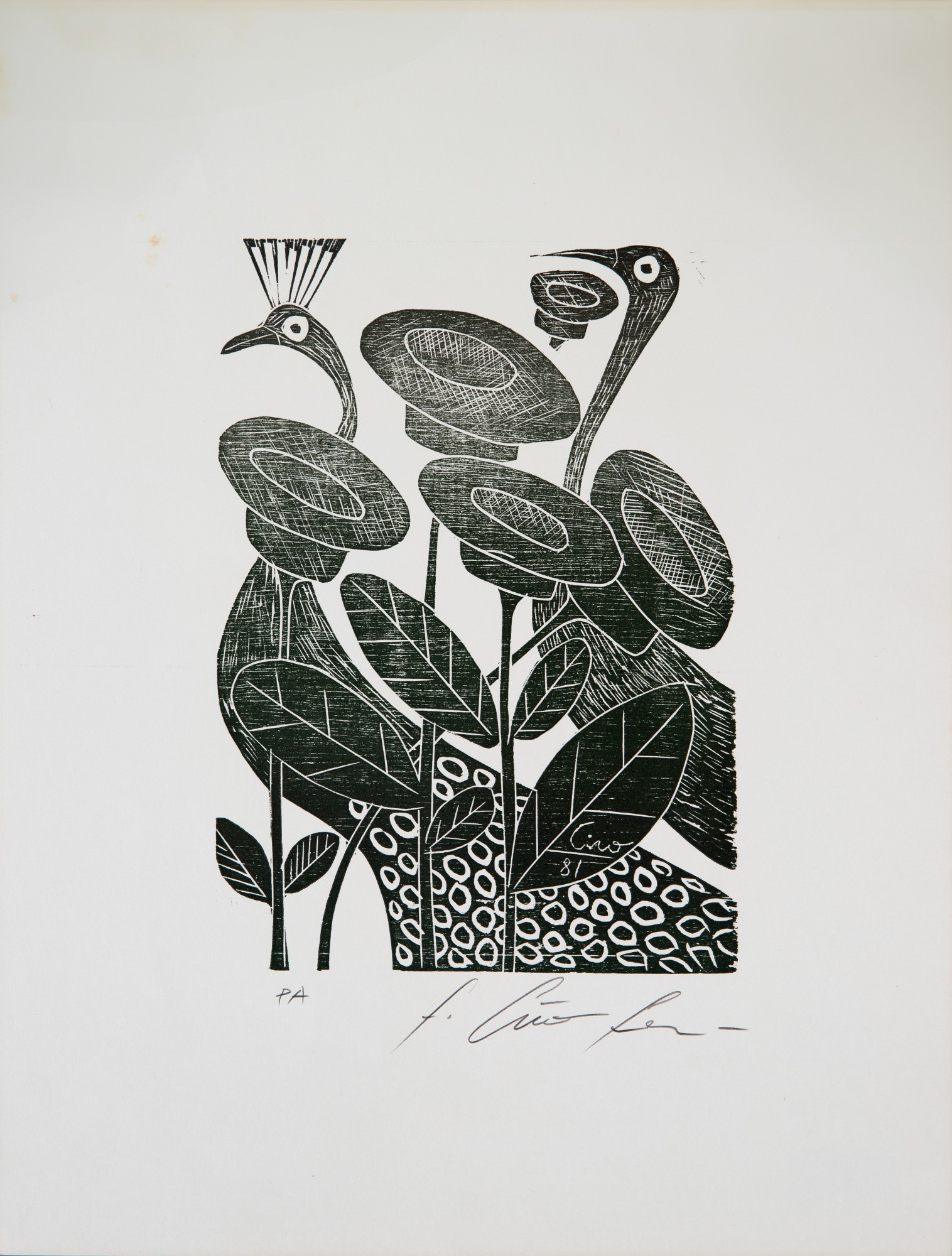 Ciro Fernandes - Sem Título