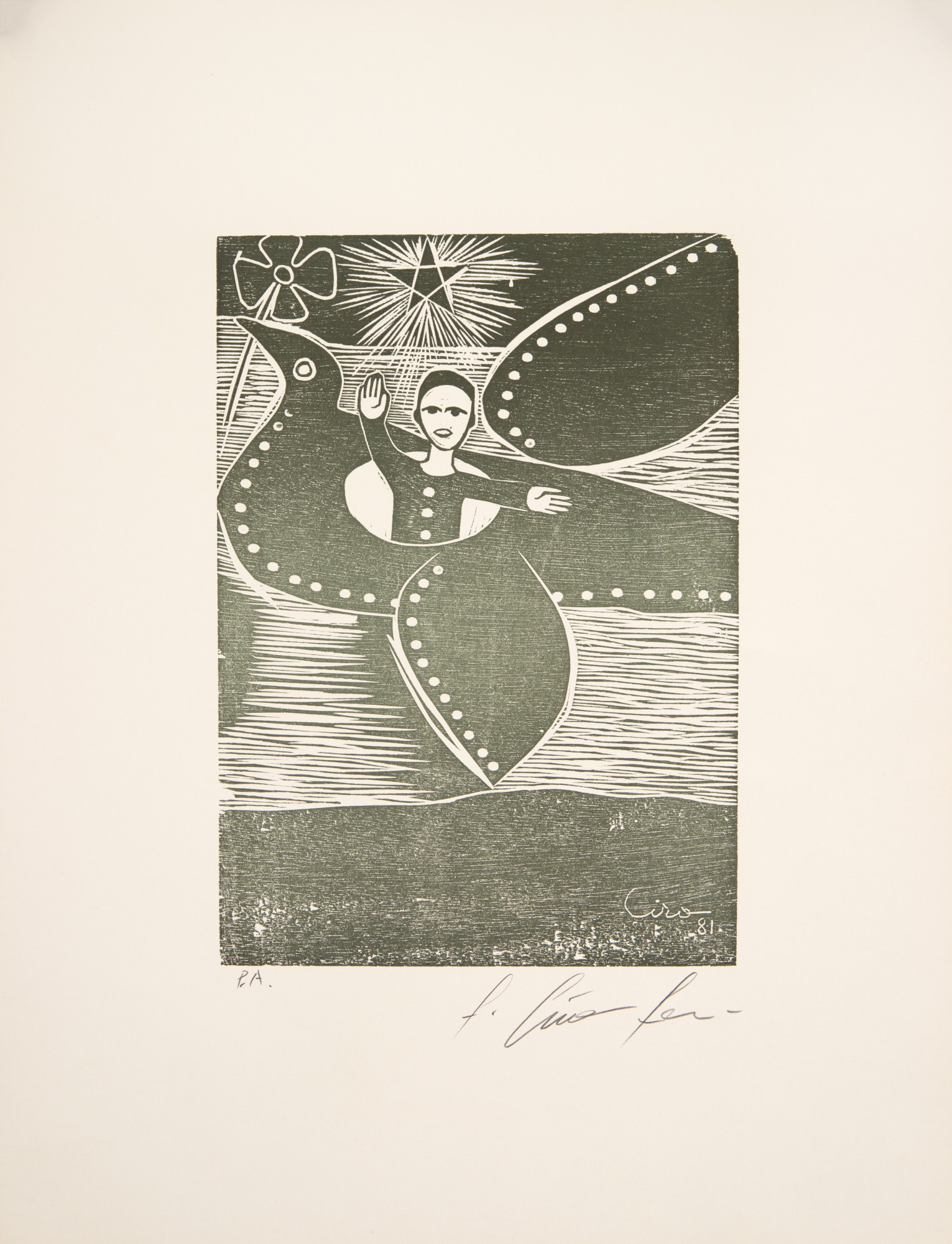 Ciro Fernandes - Sem Título