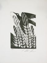 Ciro Fernandes - Sem Título