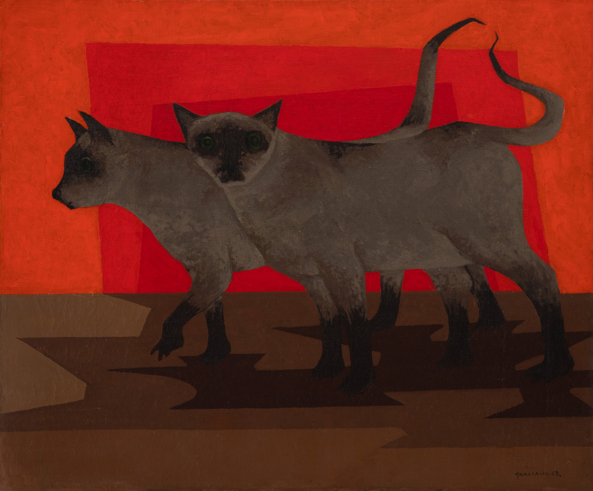 Clóvis Graciano - Gatos