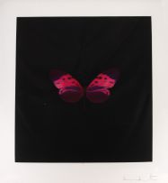 Damien Hirst - Six Butterfly