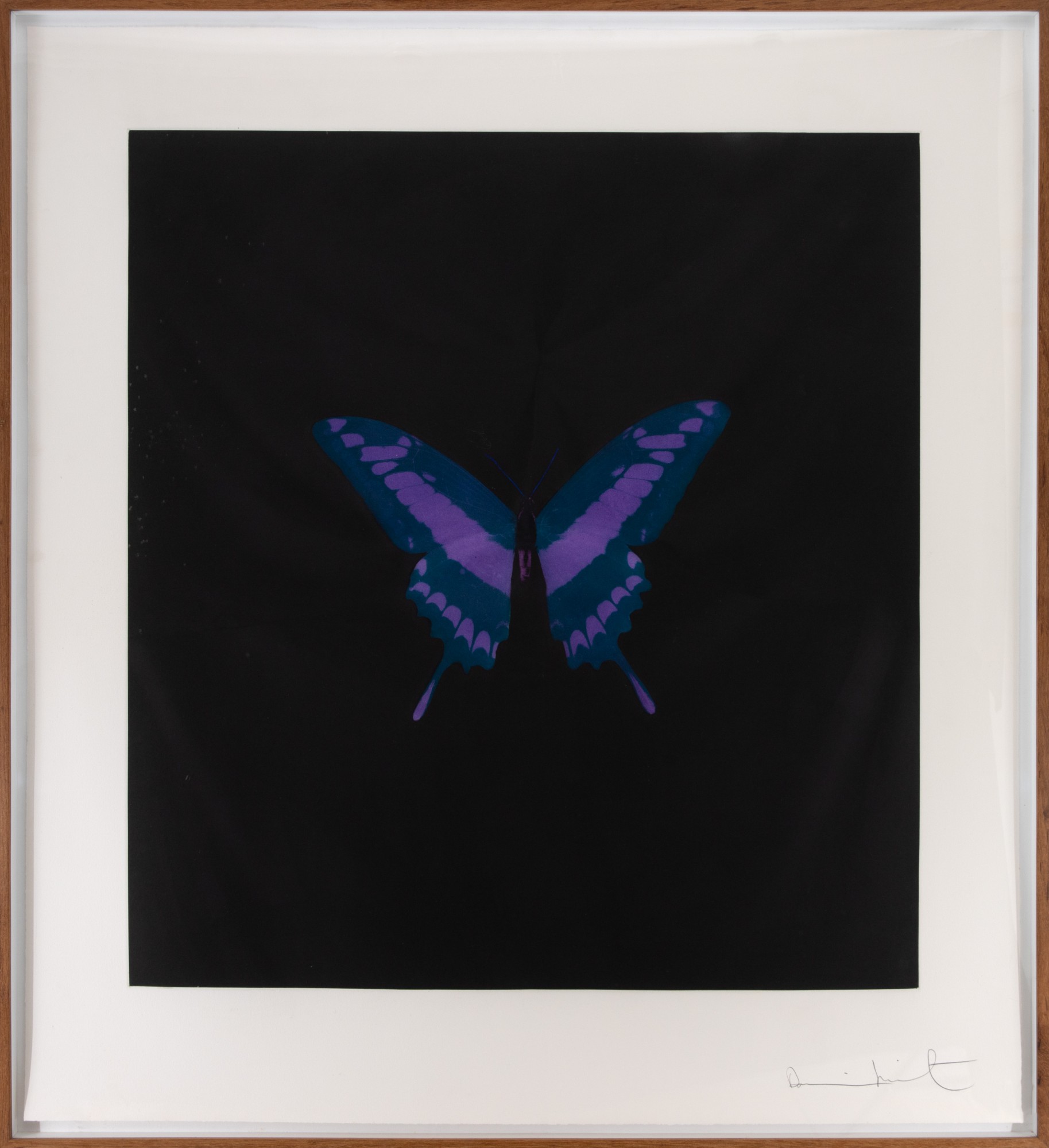Damien Hirst - Six Butterfly