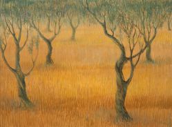 Enrico Bianco - Oliveiras