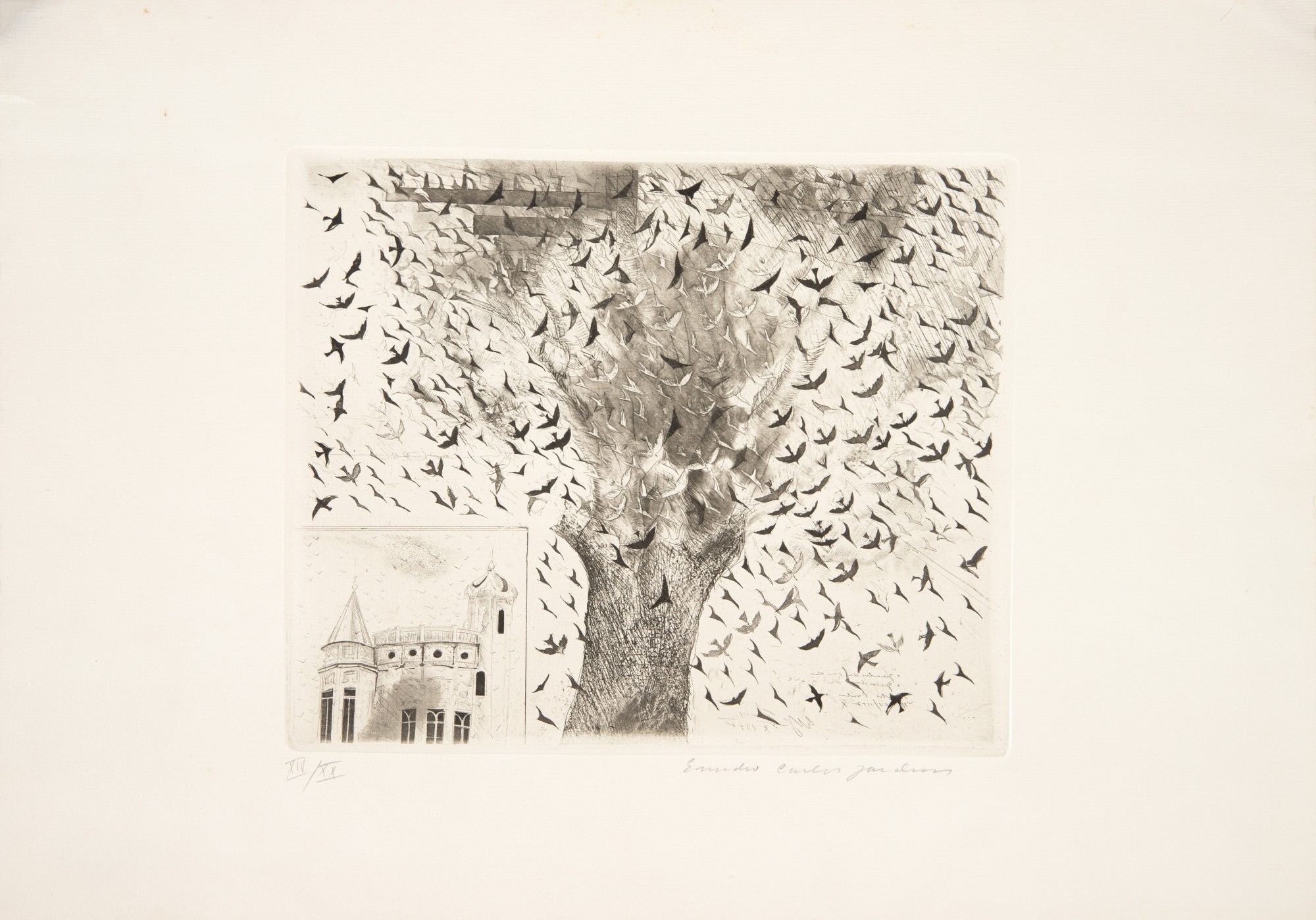 Evandro Carlos Jardim - Sem Título