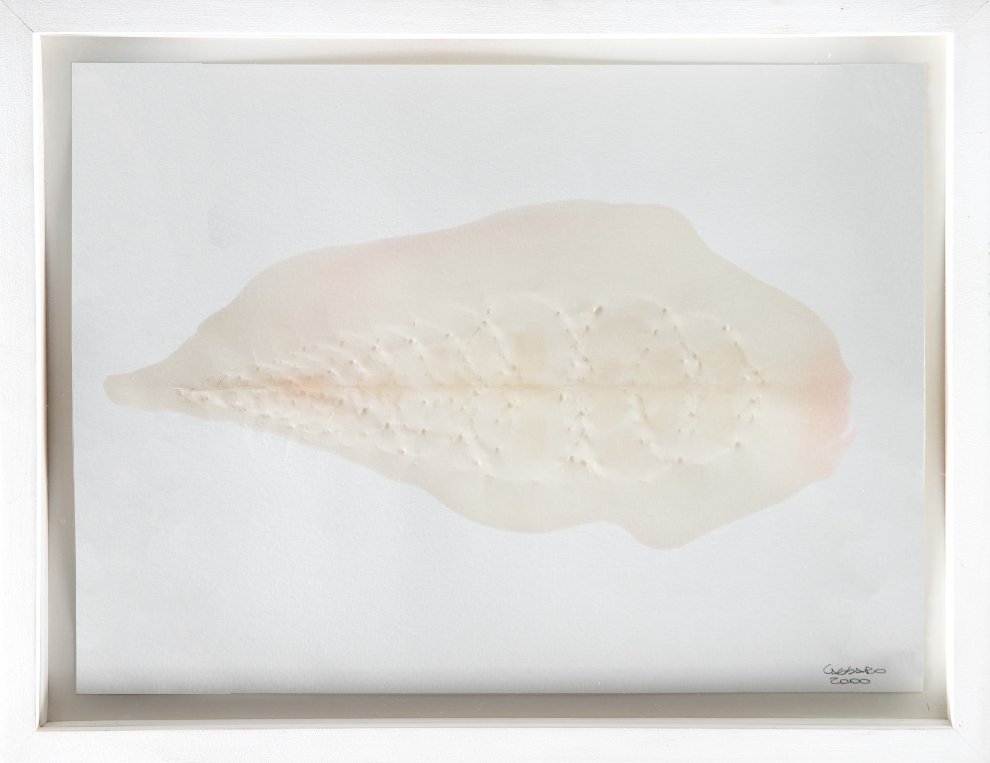 Franklin Cassaro - Sem Titulo