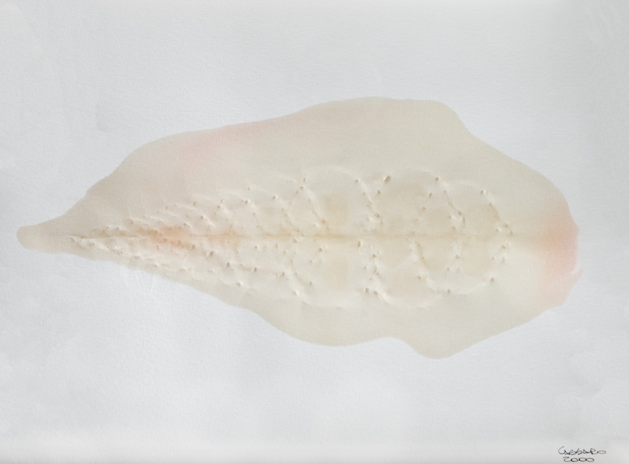 Franklin Cassaro - Sem Titulo