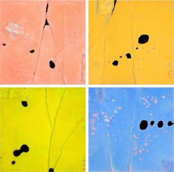 Isamu Kojima - Earth Winter, Earth Summer, Earth Spring e Earth Autumn