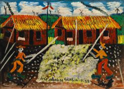 José Antônio da Silva - Colheita de Algodão