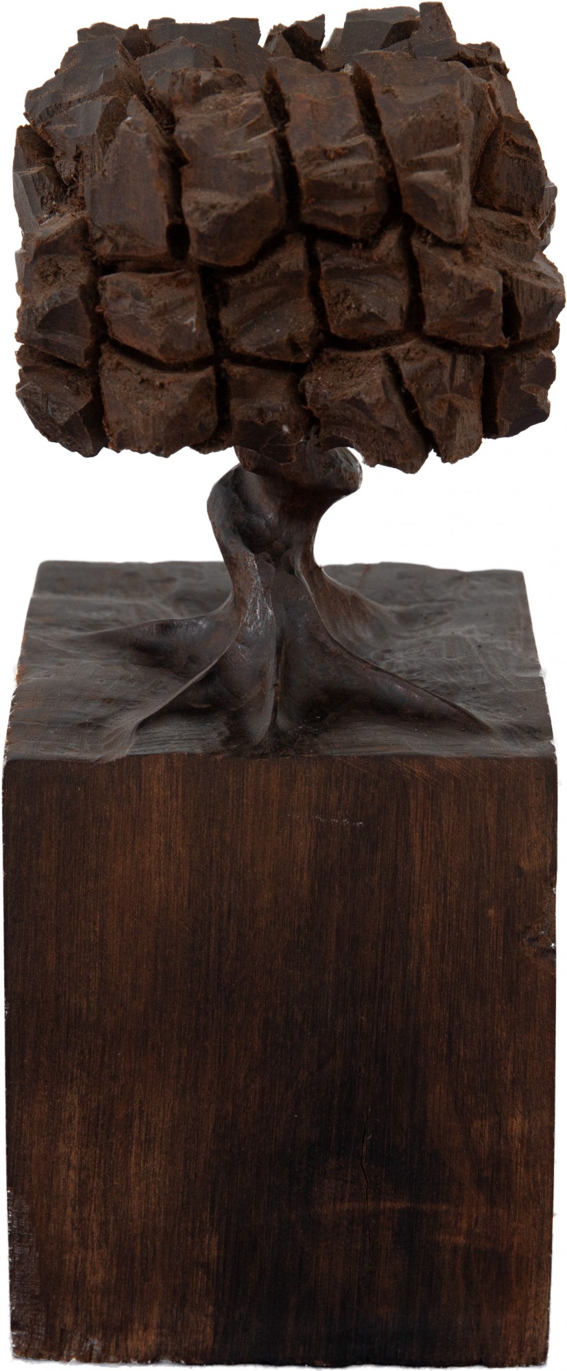 José Bento - Árvore I