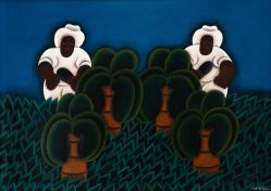 José Sabóia - Colheita