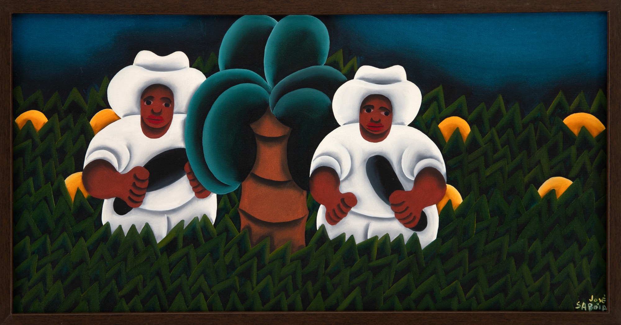 José Sabóia - Plantando Cacau