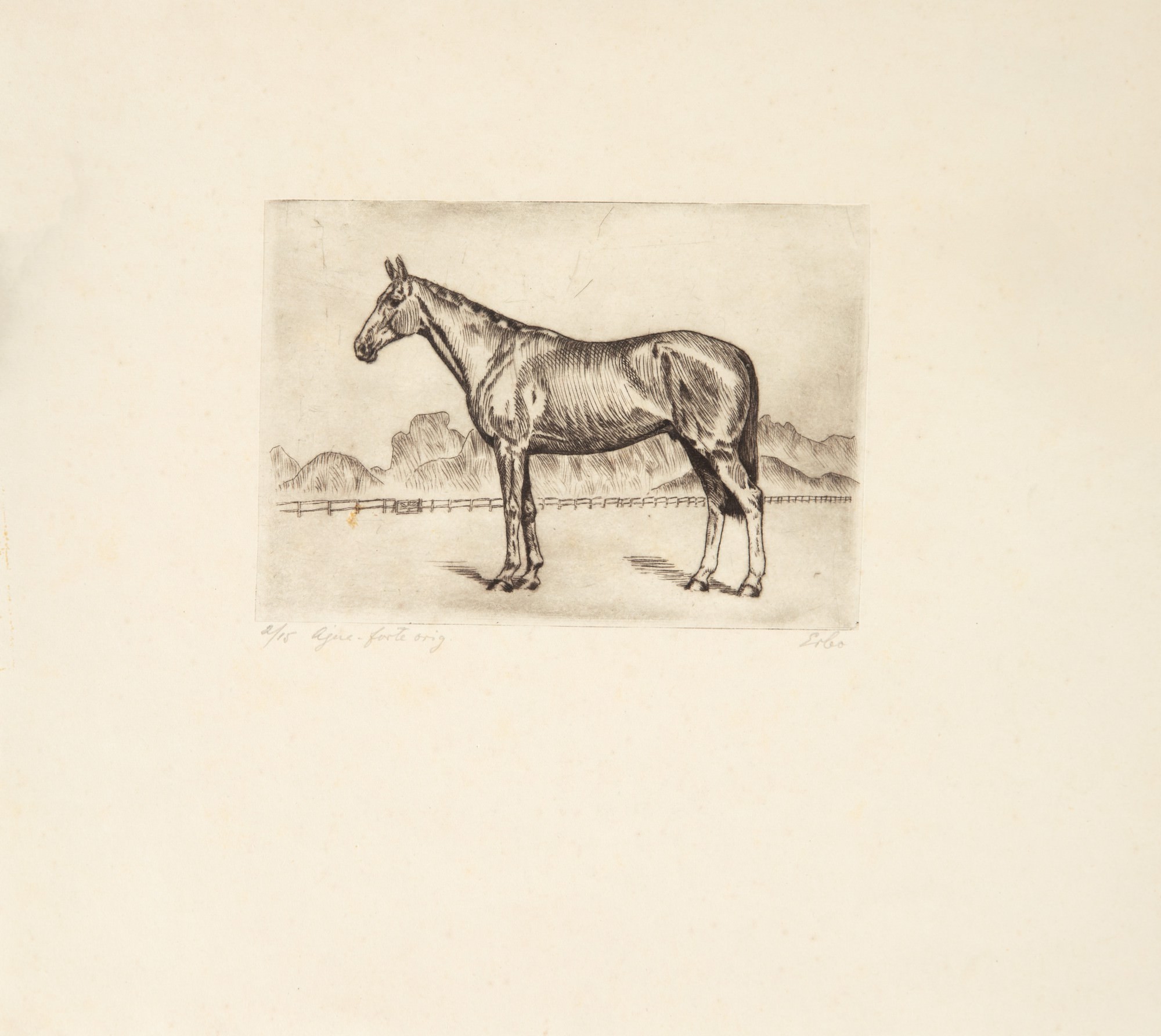 Lotus Lobo - Sem Título