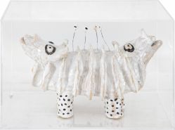 Marcos Akasaki - Série: Duas Cabeças 1