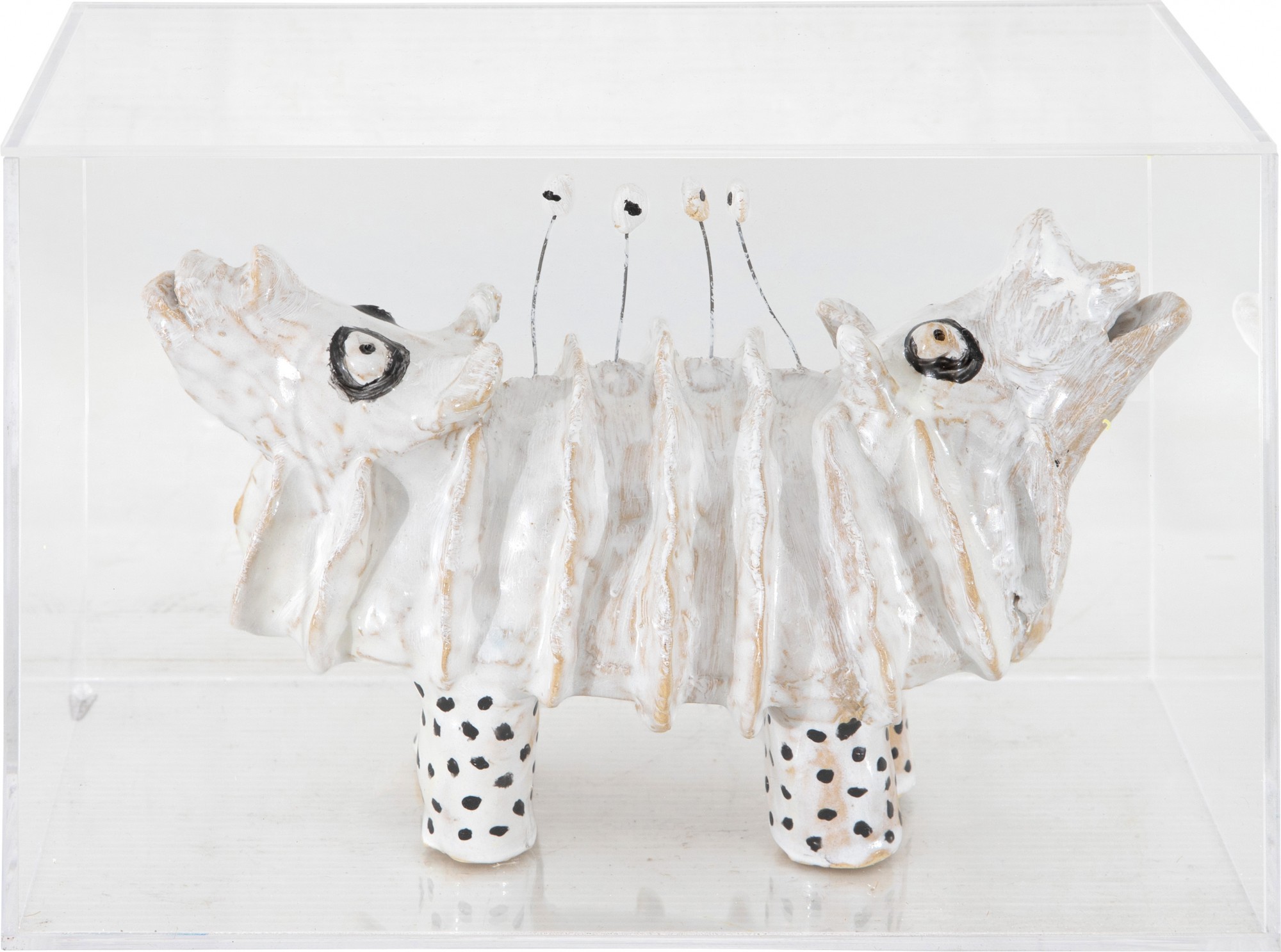 Marcos Akasaki - Série: Duas Cabeças 1