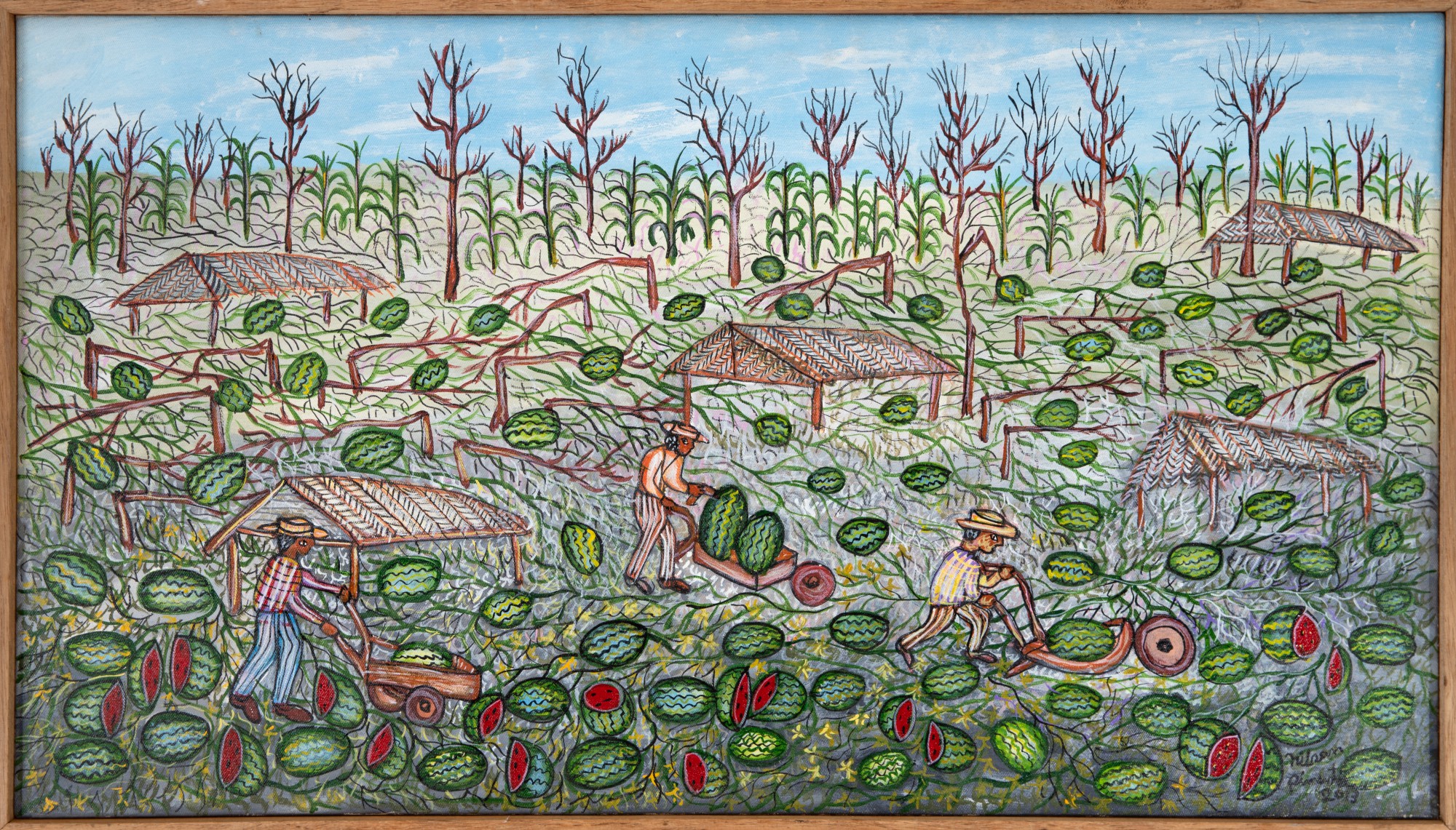 Nilson Pimenta - Colheita de Melancia