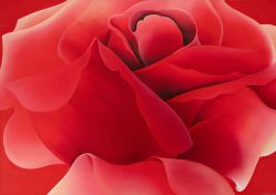 Pietrina Checcacci - Erótica