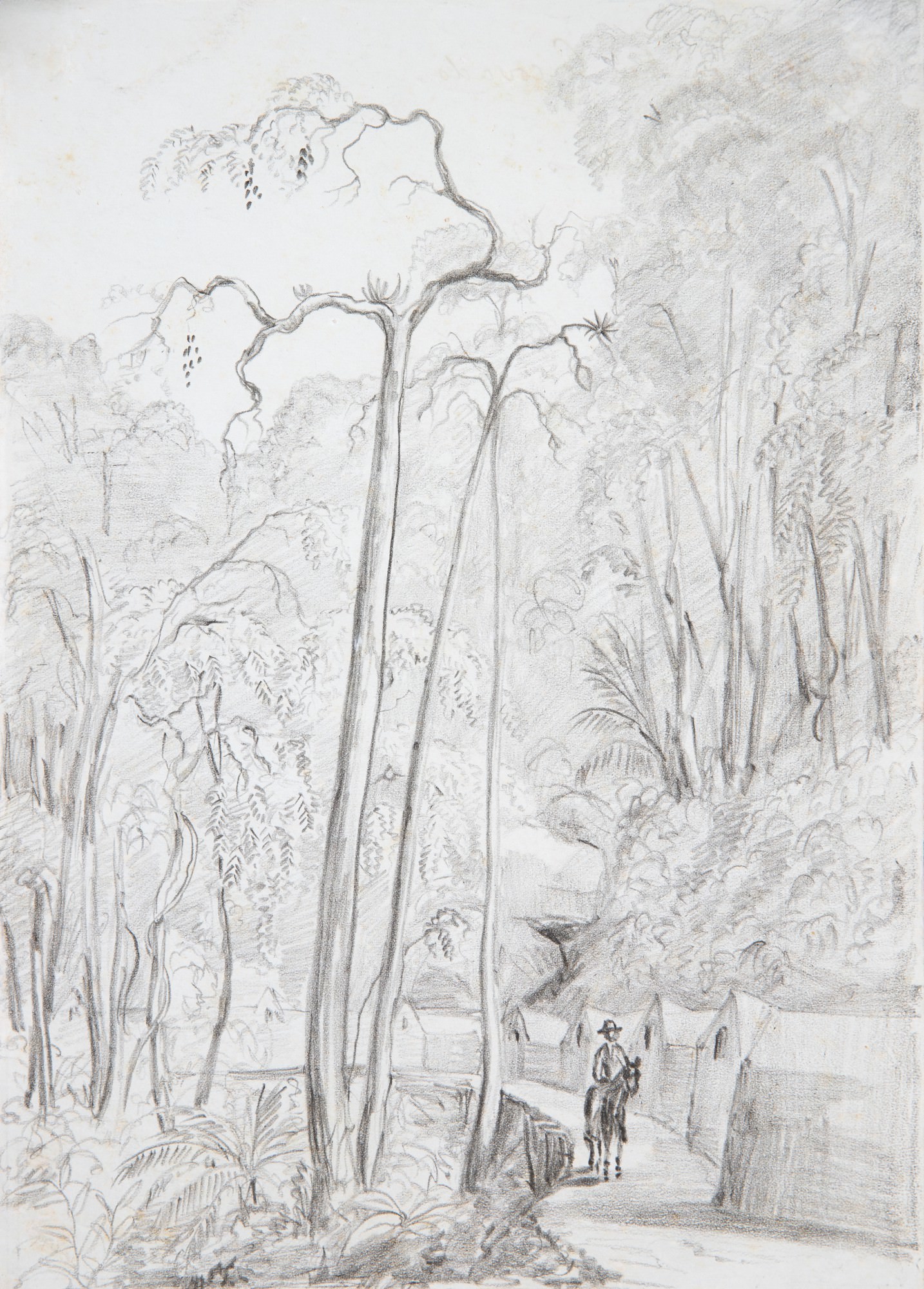 Robert Lewis - Corcovado