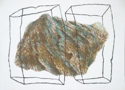 Roberto Vieira - Sem Título