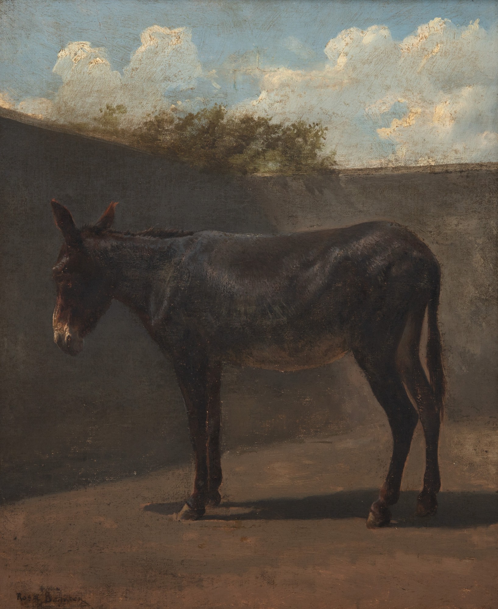 Rosa Bonheur - Burrinho