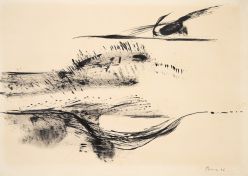 Tiziana Bonazzola - Sem Título