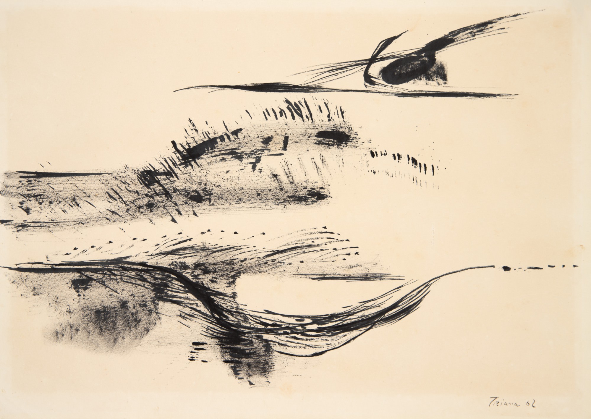 Tiziana Bonazzola - Sem Título