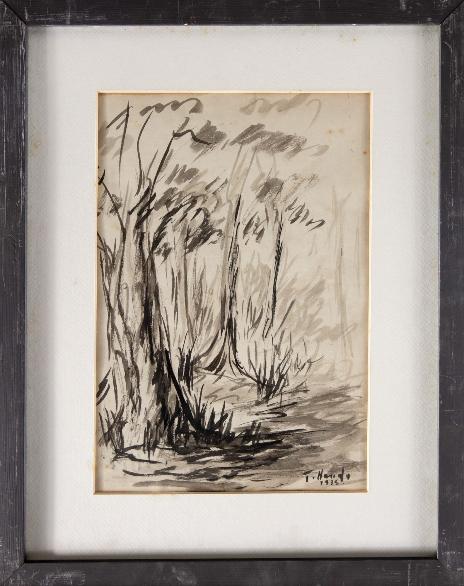 Tomoo Handa - Vegetação