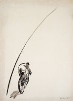 Vera Tormenta - Sem Título