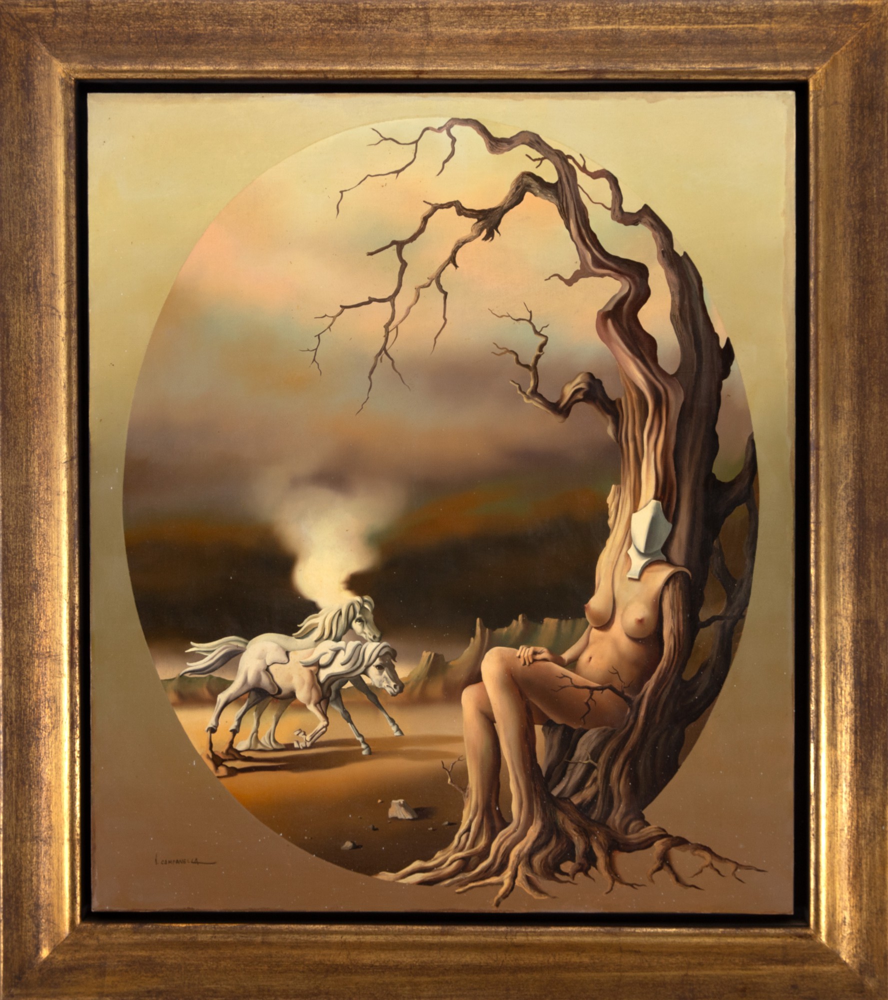 Vito Campanella - Sem Título