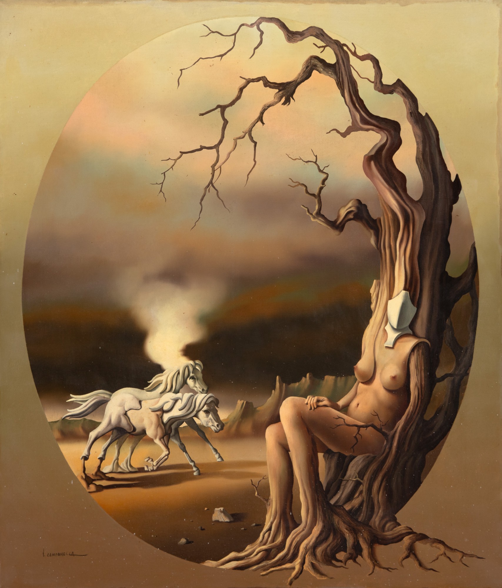 Vito Campanella - Sem Título