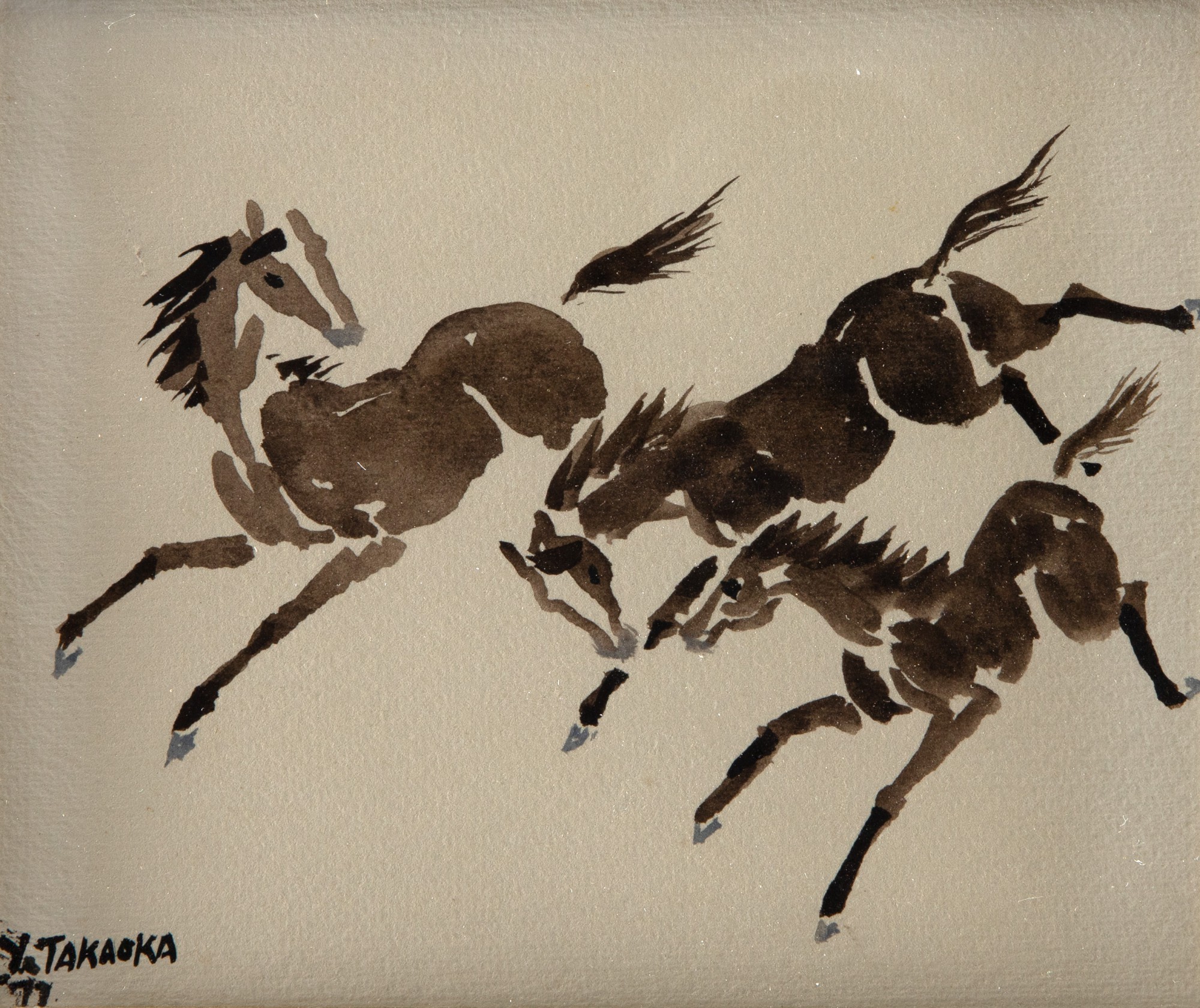 Yoshiya Takaoka - Cavalos