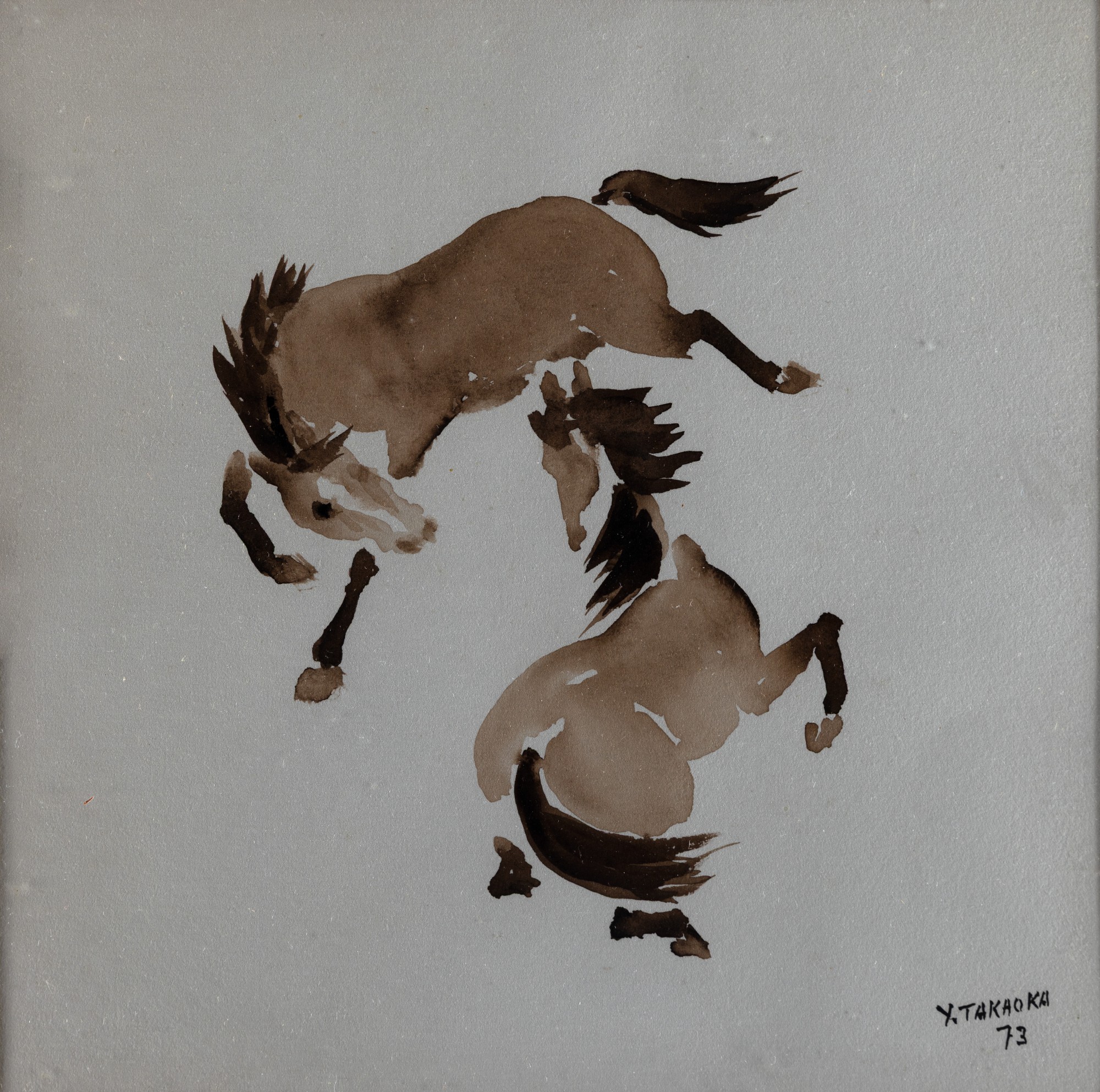 Yoshiya Takaoka - Cavalos